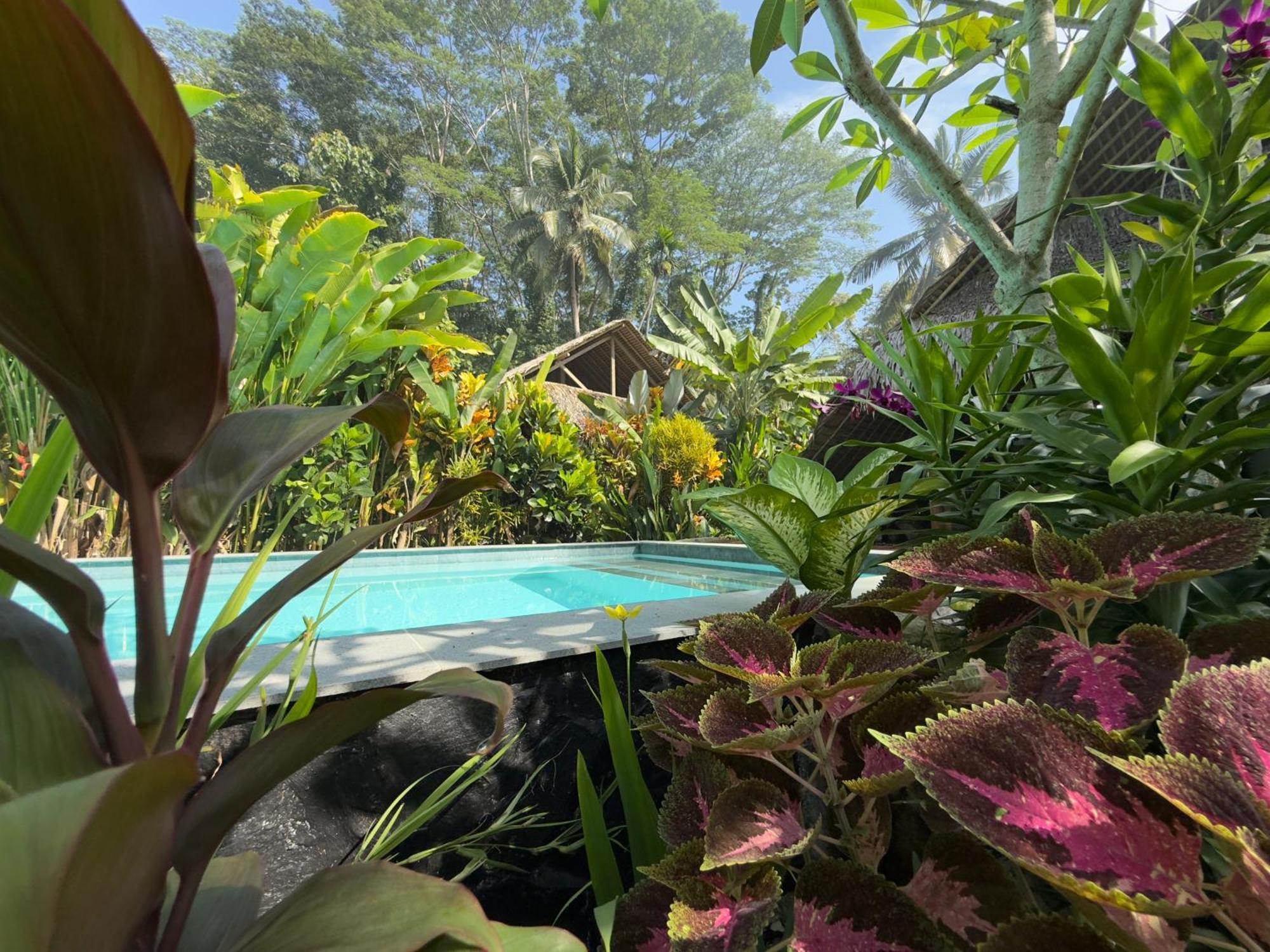Rnv Eco Resort Bungalows Batukaras Ngoại thất bức ảnh