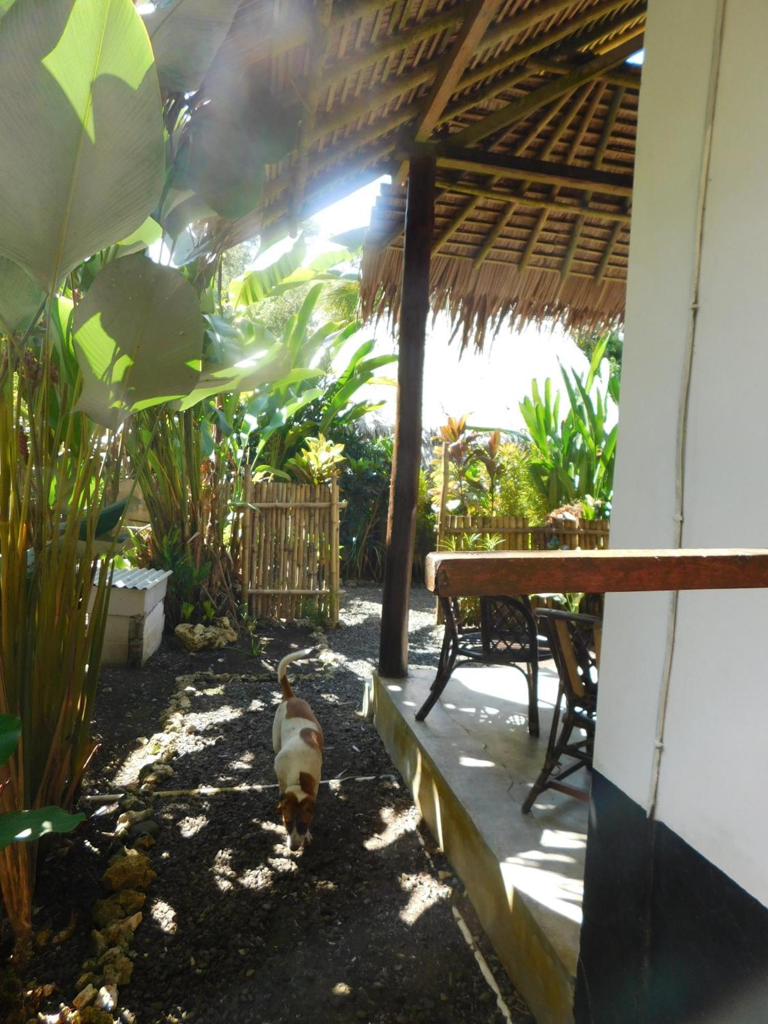 Rnv Eco Resort Bungalows Batukaras Ngoại thất bức ảnh